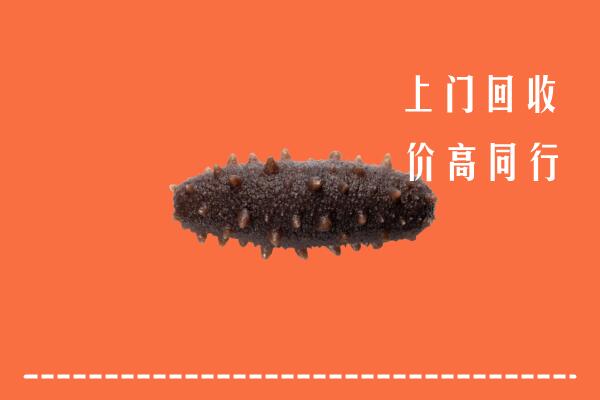 重庆市高价回收海参